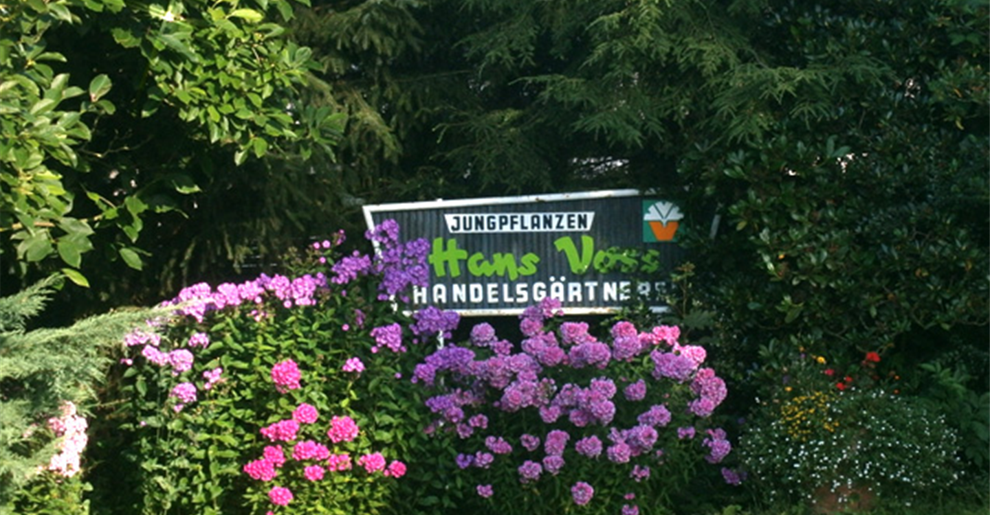 firma_02.jpg firma_02.jpg