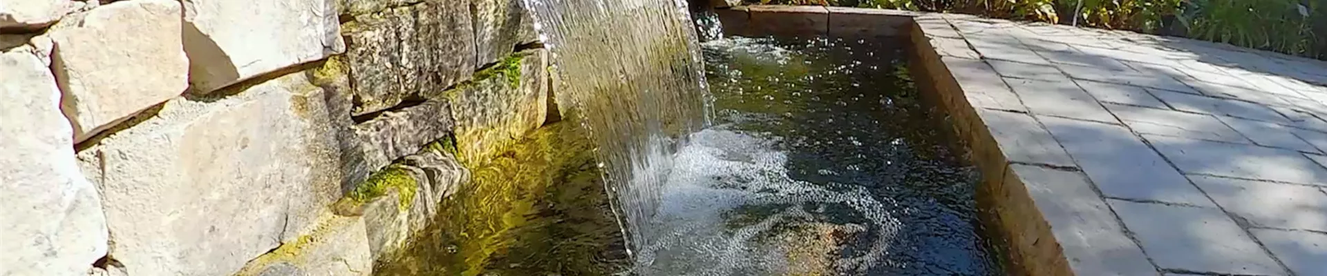 Gartengestaltung - Skulpturengarten (thumbnail).jpg